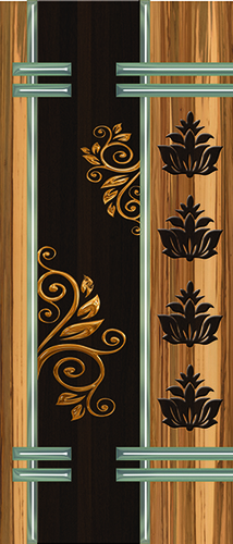 Metallic Door Skin