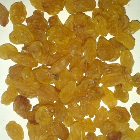 Dried Kismis