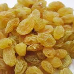 Golden Raisins