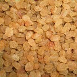 Golden Kismis