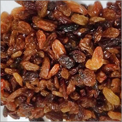 Malayar Raisins