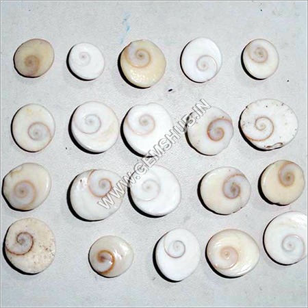 Natural Gomti Chakra Naag Chakra