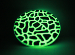GLOW IN THE DARK STEPPING STONES