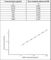 Human EGFR / HER1 / ErbB1 ELISA Kit