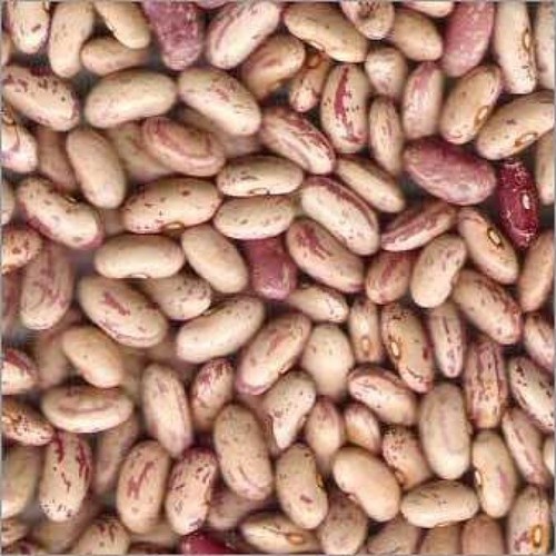 Organic Rajma Chitra