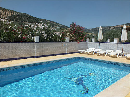 Swimming Pool - Fiberglass, Variable Dimensions, 1.5m Depth | Water Recreation, Relaxation, Exercise, Cooling, Aesthetic Appeal
