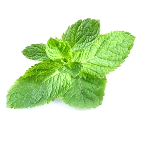 Mint Powder Mint Powder