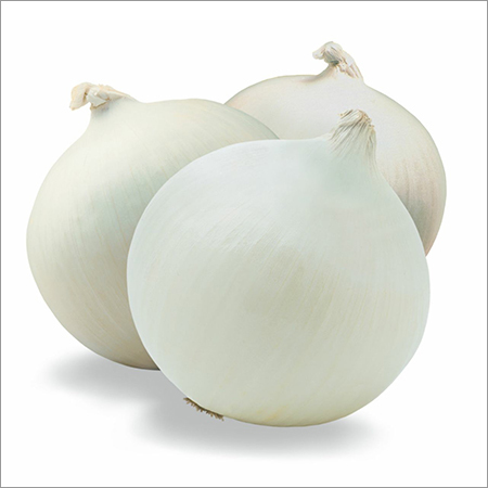 Onion Dried Powder