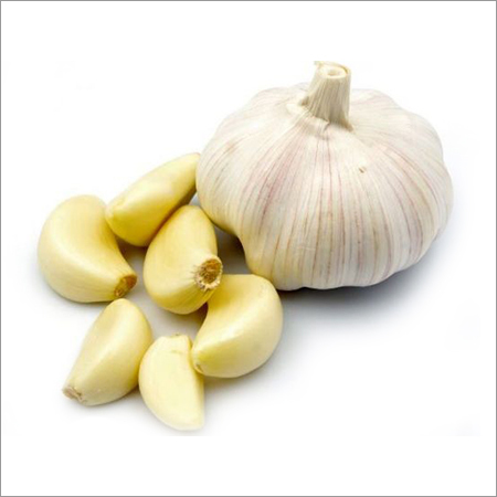 Garlic Dried Powder Garlic Dried Powder
