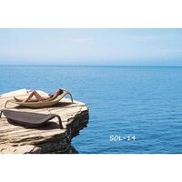 Pool Side Lounger