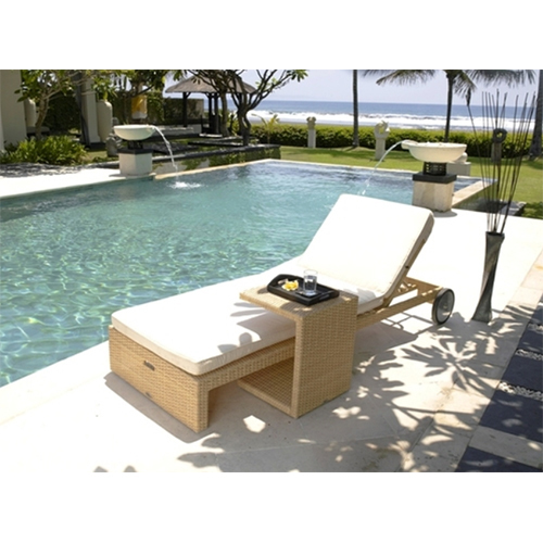 Pool Side Lounger