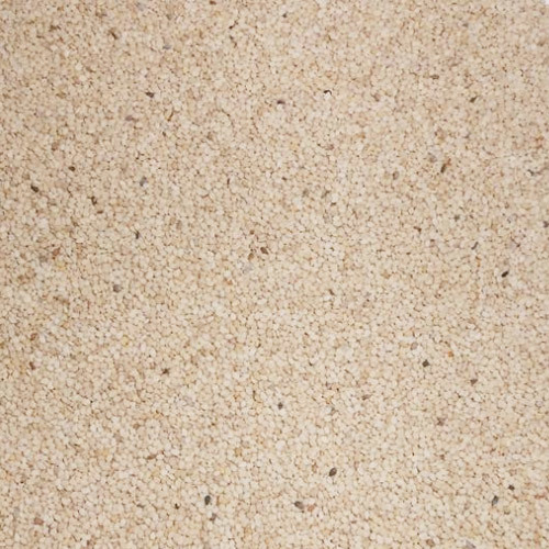 White Sesame Seeds