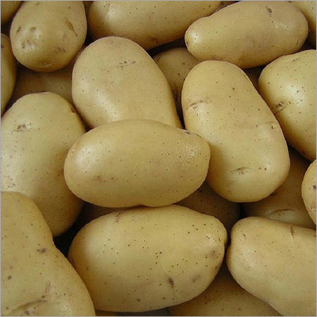 Fresh Potatoes