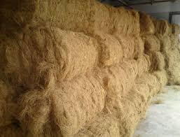 Coconut Coir Fiber for sale