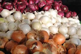 Fresh Onion- Red, Yellow And White For Sale