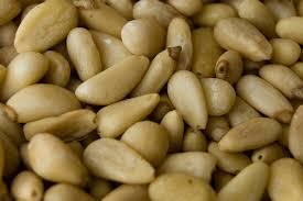 Pine Nuts,Best Quality Pine Nuts,A grade