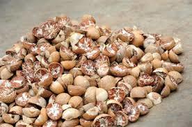whole and Split Betel Nuts By ABBAY TRADING GROUP, CO LTD