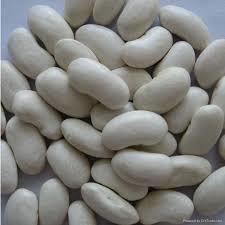 Natural White Kidney Beans By ABBAY TRADING GROUP, CO LTD