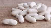 White Kidney Beans - Organic, Premium Quality, High Protein Content, Nutrient-dense Legume