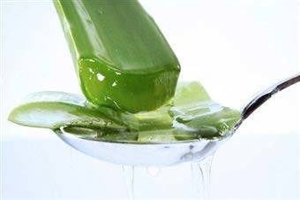 Aloe Vera Gel
