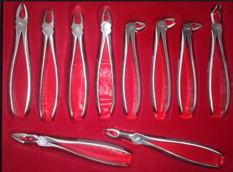 EXTRACTION FORCEP KIT - Stainless Steel, Variable Length | Precise Grip, Ergonomic Handle, Autoclavable, Sharp Tips
