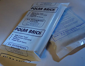 Ice Gel Bricks