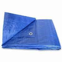 TARPAULIN