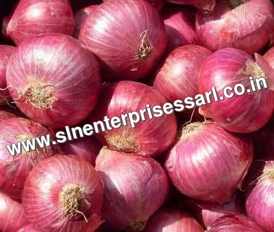 Red Onion