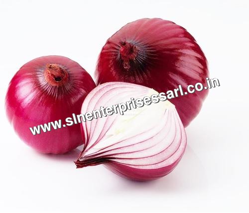 Export Quality Onions