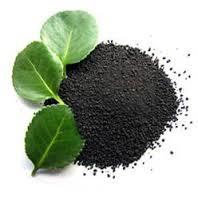 BIO GREEN FERTILIZERS