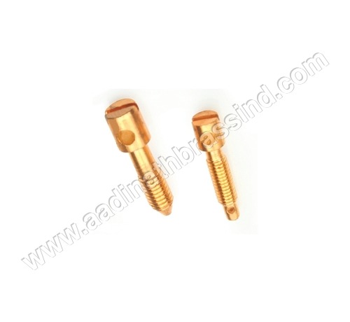 Brass Sealing Screw