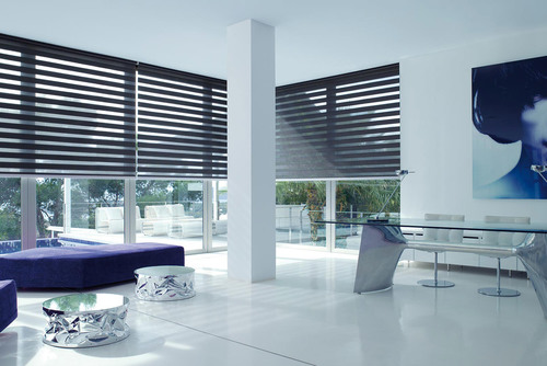 Vertical Blind