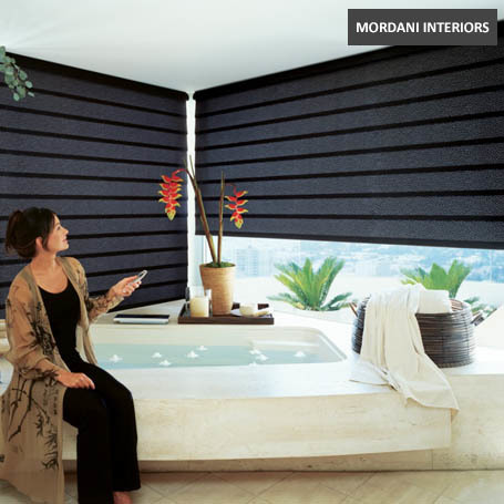 Motorized Zebra Blind