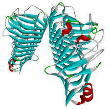 Pectinase