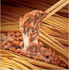 Nattokinase Nattokinase