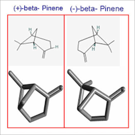 Beta Pinene