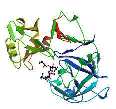PEPSIN