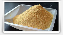 Yeast Beta Glucan Powder