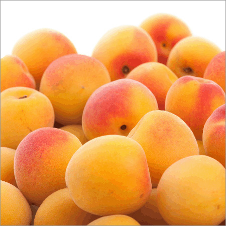 Fresh Apricot