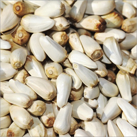 Safflower Seed