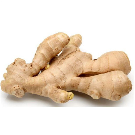 Ginger