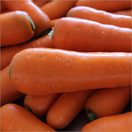 Fresh Carrot