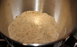 Meat Tenderizer Powder