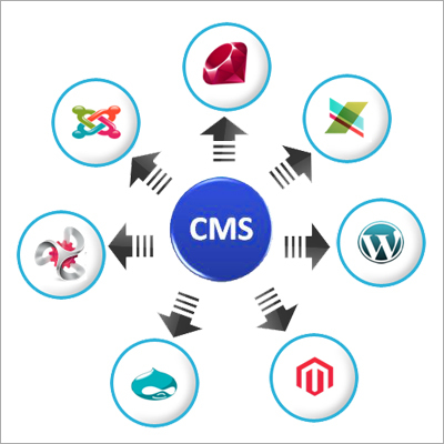 CMS Development