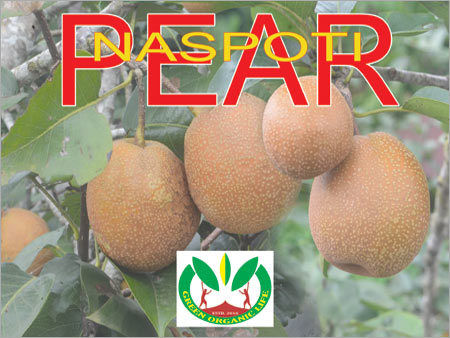 Fresh Pears