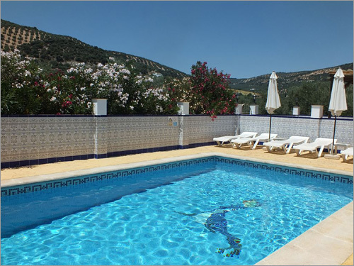 Swimming Pools
