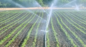 Irrigation Sprinkler Pipe