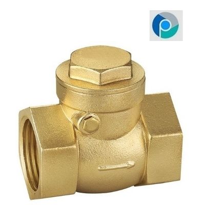 Brass Swing Check Valve