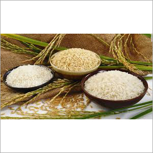 Rice