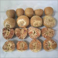 Betel Nut